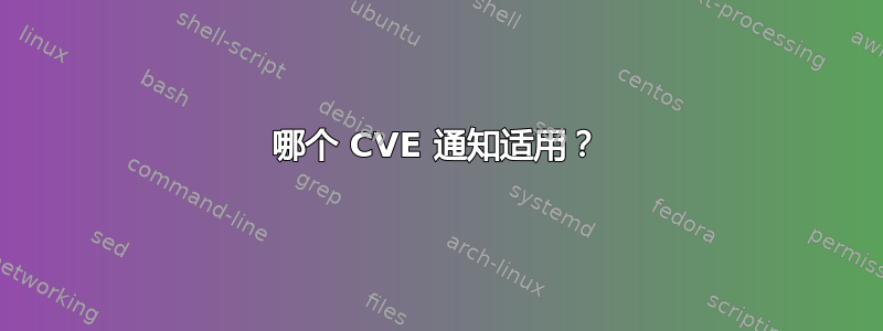 哪个 CVE 通知适用？