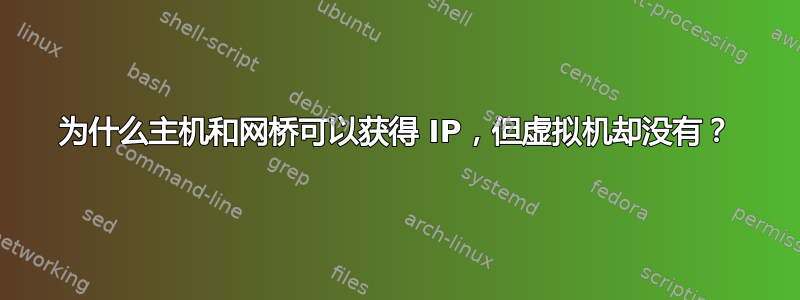 为什么主机和网桥可以获得 IP，但虚拟机却没有？