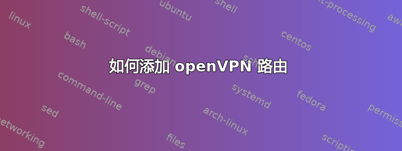 如何添加 openVPN 路由