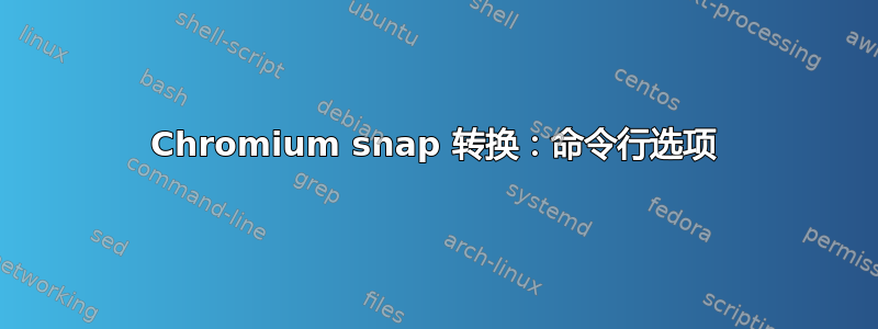 Chromium snap 转换：命令行选项