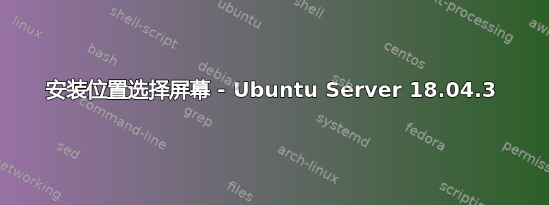 安装位置选择屏幕 - Ubuntu Server 18.04.3