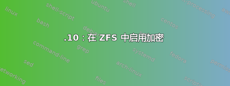 19.10：在 ZFS 中启用加密