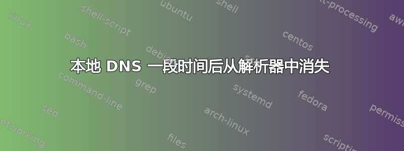 本地 DNS 一段时间后从解析器中消失