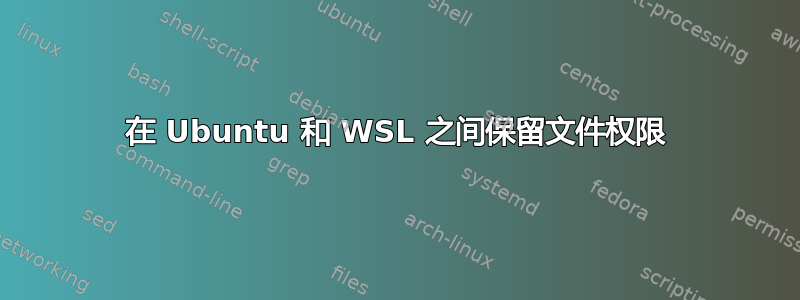 在 Ubuntu 和 WSL 之间保留文件权限