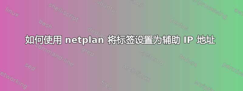 如何使用 netplan 将标签设置为辅助 IP 地址