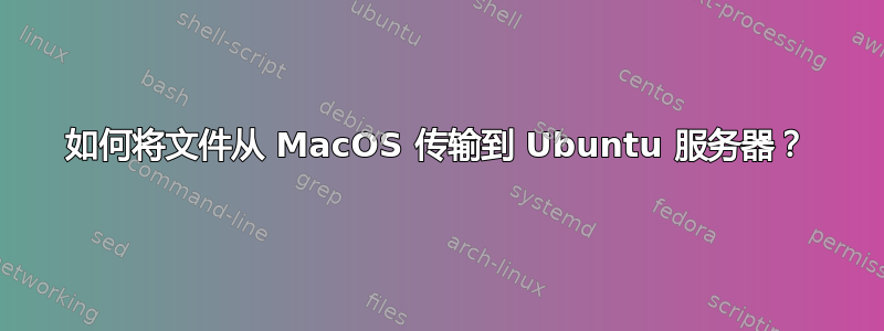 如何将文件从 MacOS 传输到 Ubuntu 服务器？