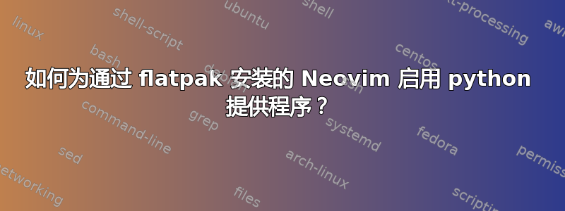 如何为通过 flatpak 安装的 Neovim 启用 python 提供程序？