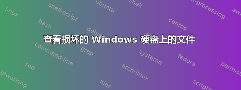 查看损坏的 Windows 硬盘上的文件