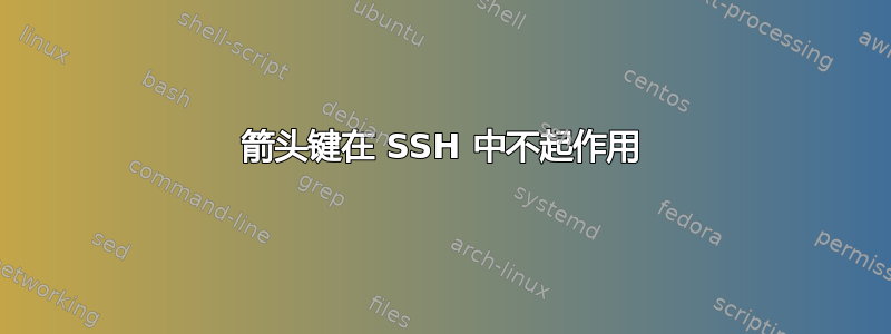 箭头键在 SSH 中不起作用