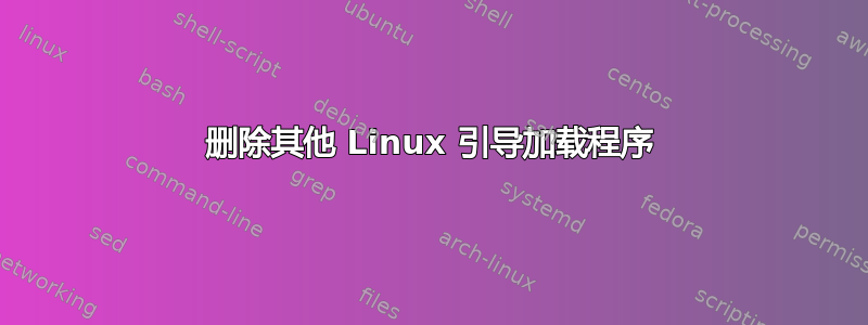 删除其他 Linux 引导加载程序