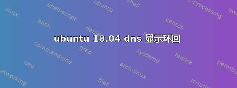 ubuntu 18.04 dns 显示环回