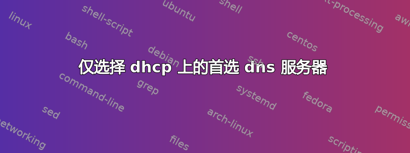 仅选择 dhcp 上的首选 dns 服务器