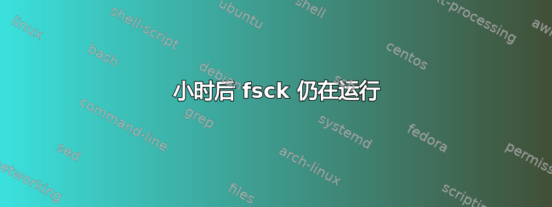 24 小时后 fsck 仍在运行