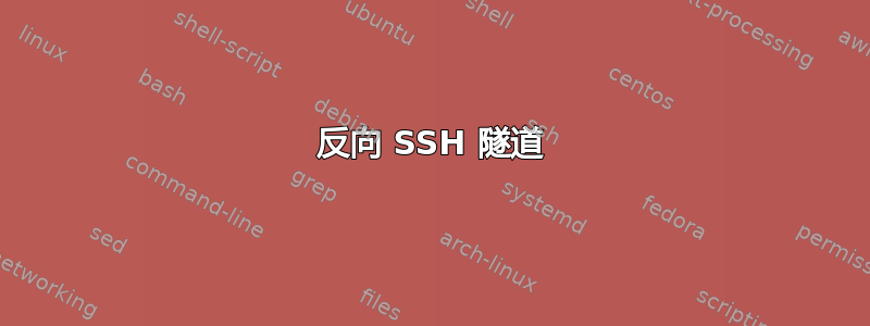 反向 SSH 隧道