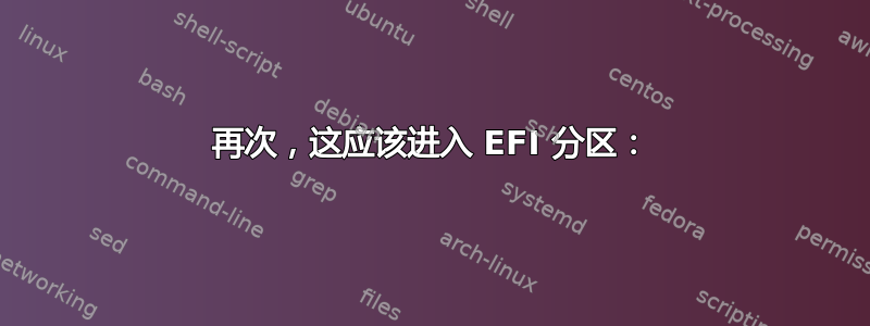 再次，这应该进入 EFI 分区：