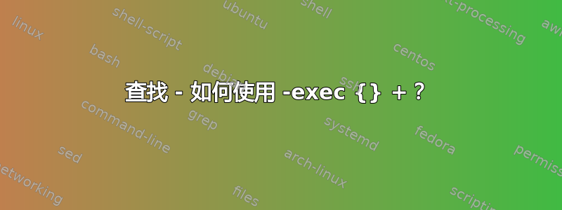 查找 - 如何使用 -exec {} +？