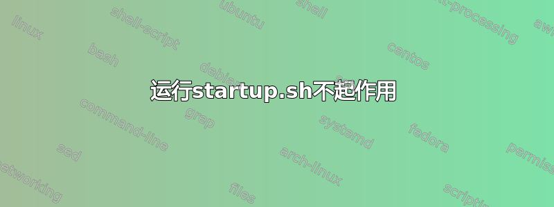 运行startup.sh不起作用