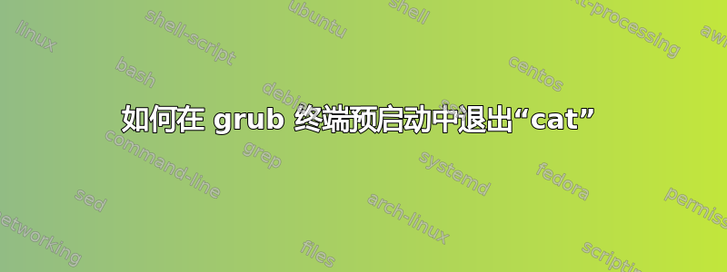 如何在 grub 终端预启动中退出“cat”