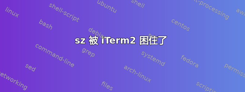 sz 被 iTerm2 困住了