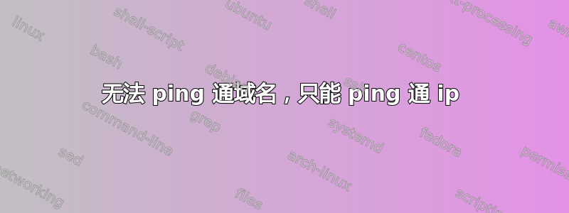 无法 ping 通域名，只能 ping 通 ip