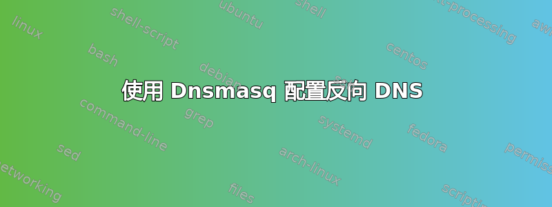 使用 Dnsmasq 配置反向 DNS