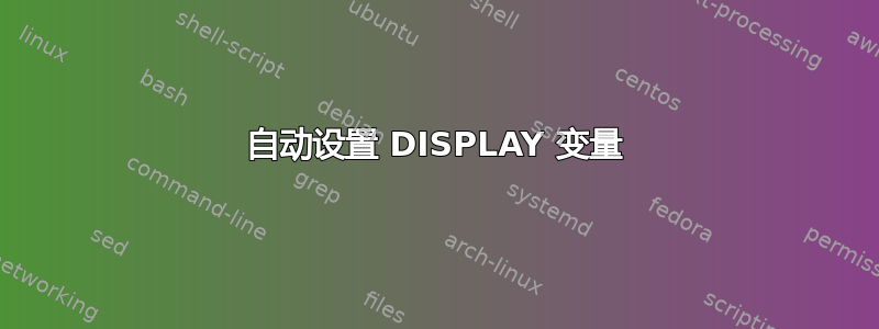 自动设置 DISPLAY 变量