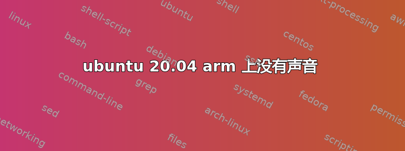 ubuntu 20.04 arm 上没有声音