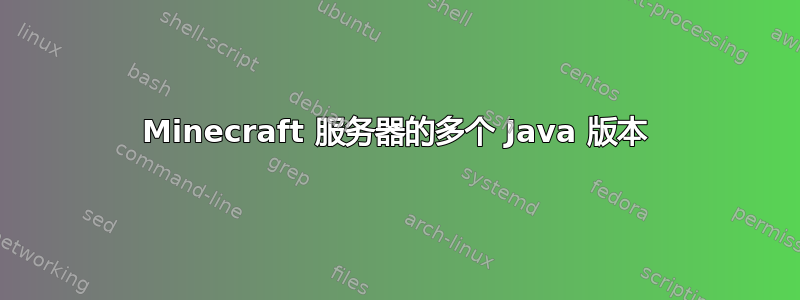 Minecraft 服务器的多个 Java 版本