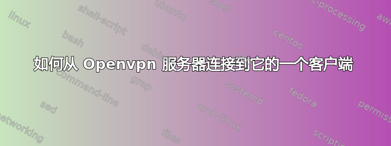 如何从 Openvpn 服务器连接到它的一个客户端