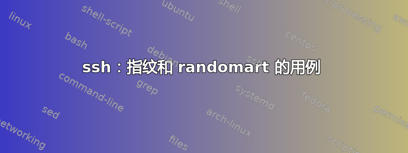 ssh：指纹和 randomart 的用例