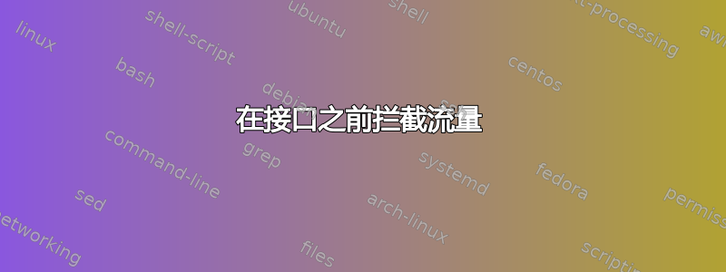 在接口之前拦截流量