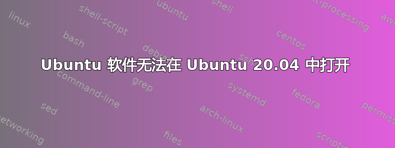 Ubuntu 软件无法在 Ubuntu 20.04 中打开