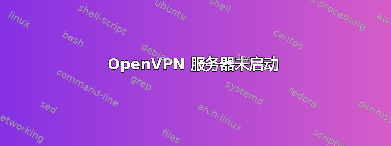 OpenVPN 服务器未启动