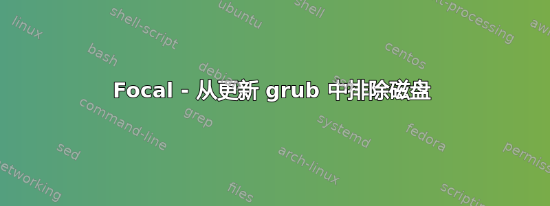 Focal - 从更新 grub 中排除磁盘