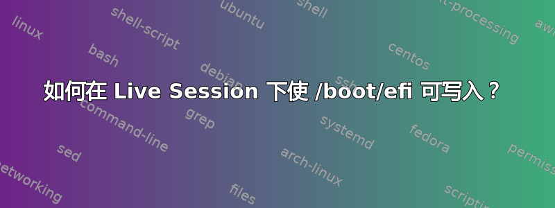 如何在 Live Session 下使 /boot/efi 可写入？