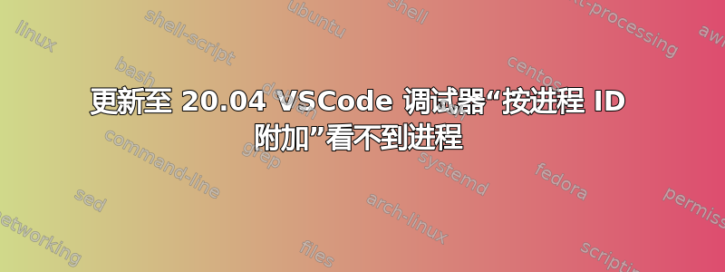 更新至 20.04 VSCode 调试器“按进程 ID 附加”看不到进程