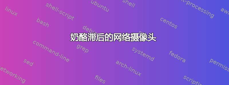 奶酪滞后的网络摄像头