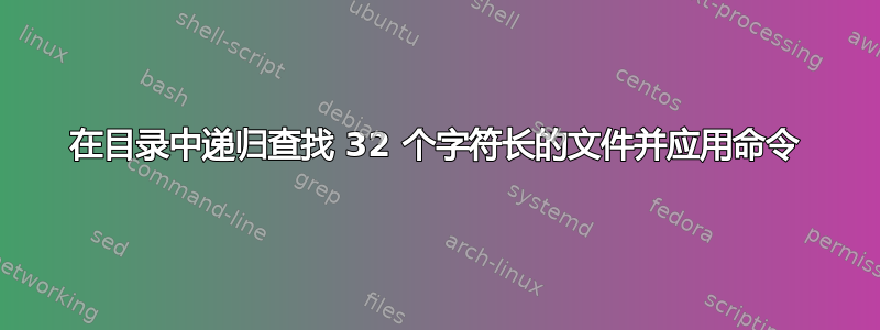 在目录中递归查找 32 个字符长的文件并应用命令