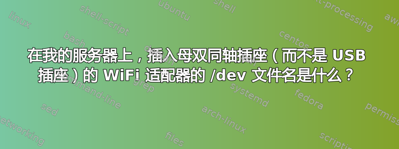 在我的服务器上，插入母双同轴插座（而不是 USB 插座）的 WiFi 适配器的 /dev 文件名是什么？