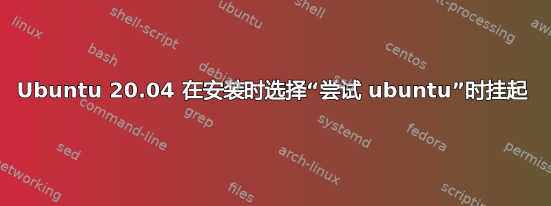 Ubuntu 20.04 在安装时选择“尝试 ubuntu”时挂起