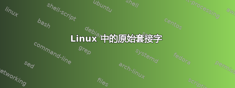 Linux 中的原始套接字