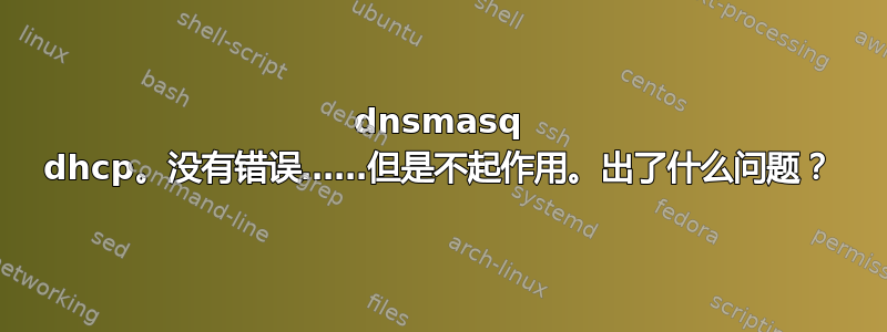 dnsmasq dhcp。没有错误……但是不起作用。出了什么问题？