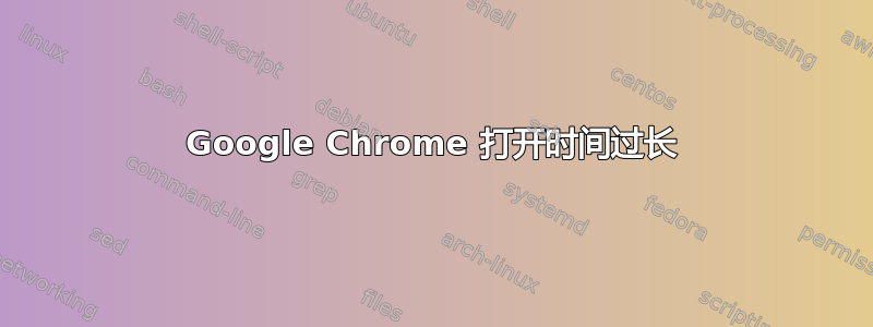 Google Chrome 打开时间过长