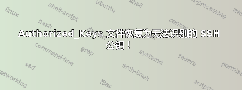 Authorized_Keys 文件恢复为无法识别的 SSH 公钥！