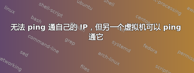 无法 ping 通自己的 IP，但另一个虚拟机可以 ping 通它