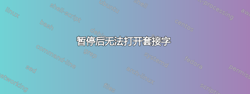 暂停后无法打开套接字