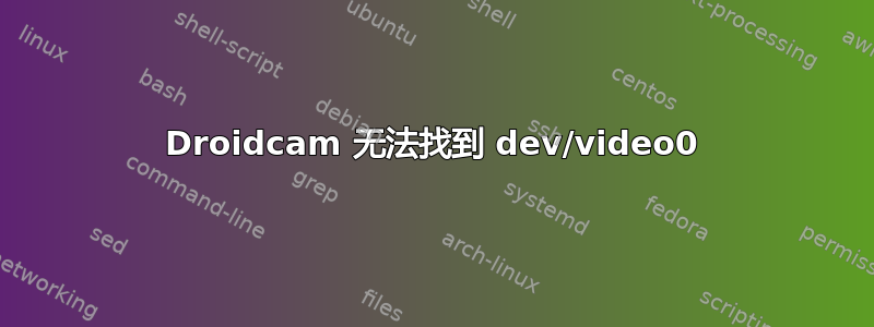 Droidcam 无法找到 dev/video0