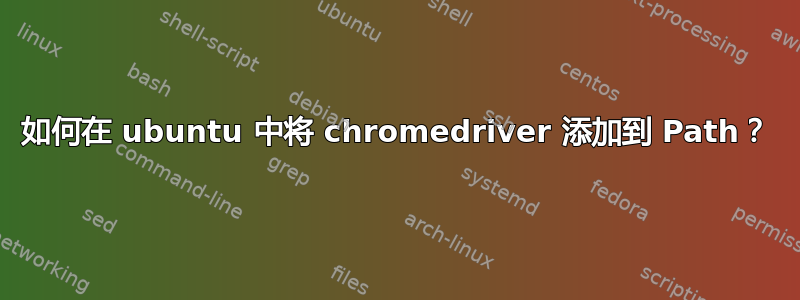 如何在 ubuntu 中将 chromedriver 添加到 Path？