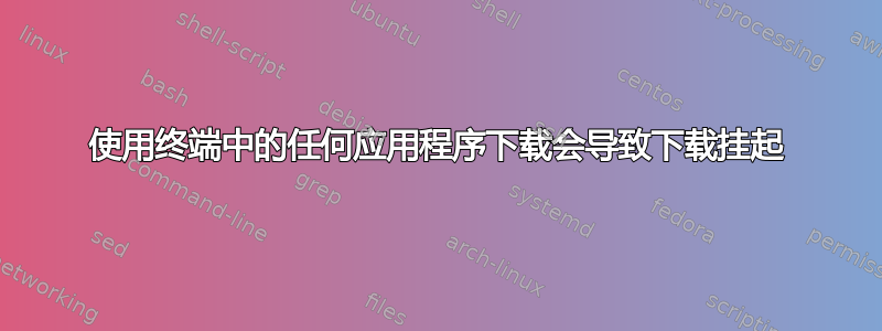 使用终端中的任何应用程序下载会导致下载挂起