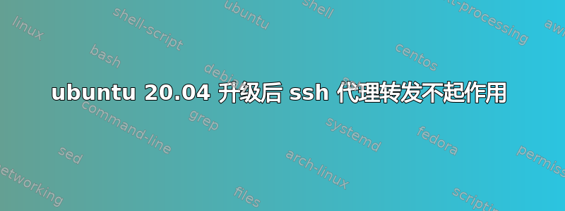 ubuntu 20.04 升级后 ssh 代理转发不起作用